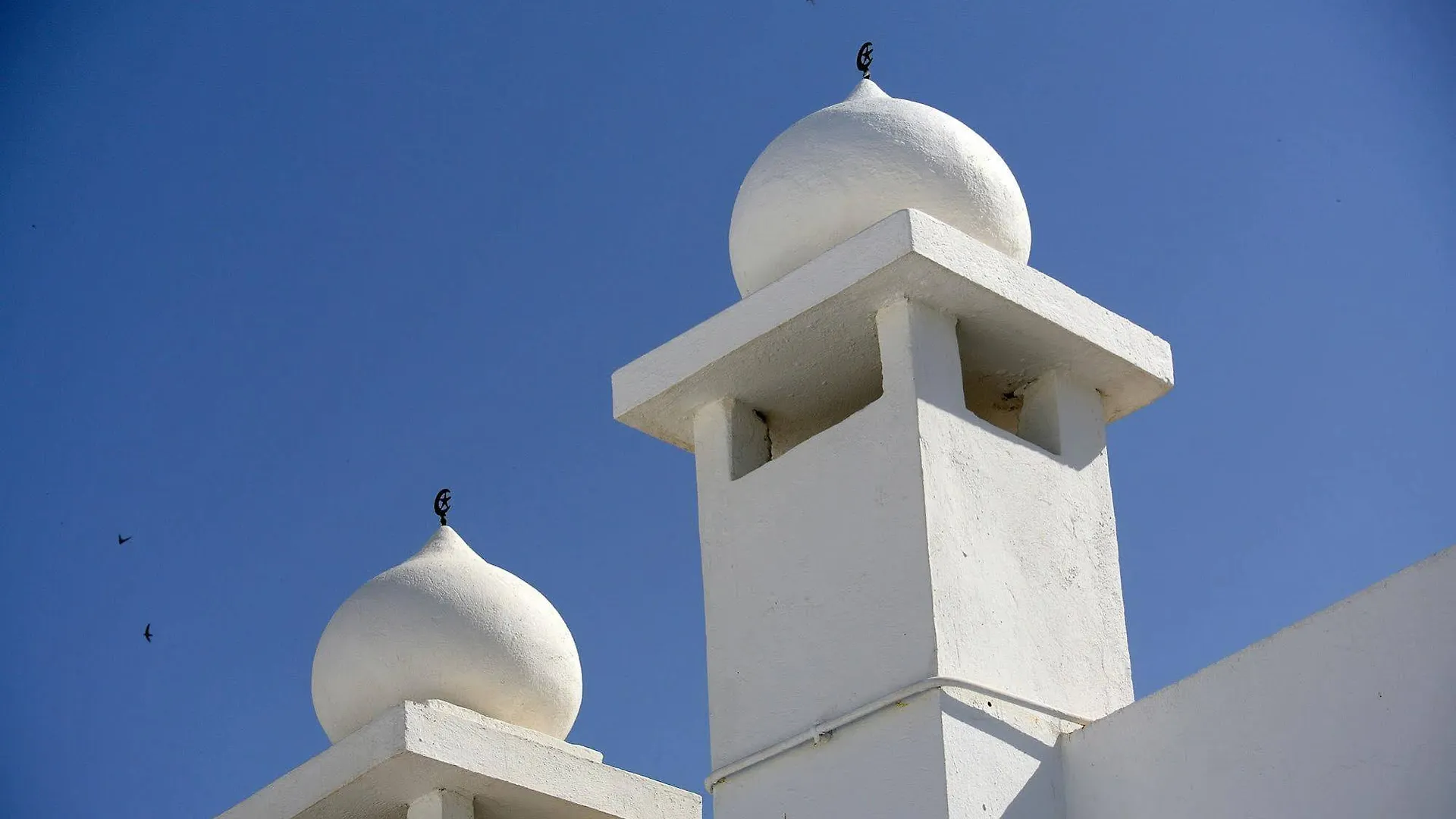 Guest house Dar Ben Gacem Hotel Tunis