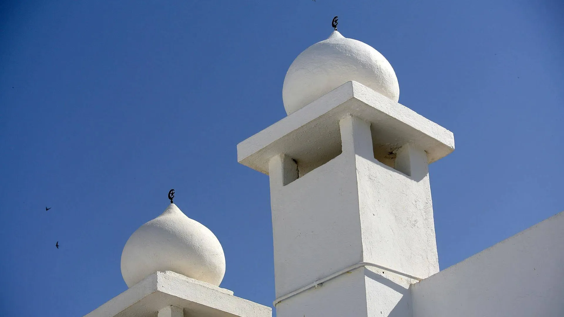 Dar Ben Gacem Hotel Tunis Tunisia